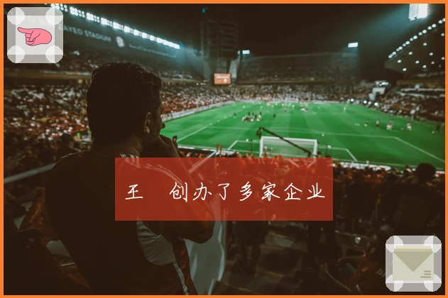 王濛创办了多家企业