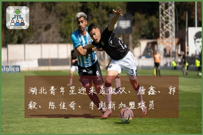 湖北青年星迎来聂傲双、唐鑫、郭毅、陈佳奇、李彪新加盟球员
