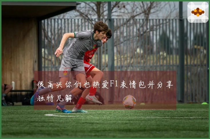 很高兴你们也热爱F1表情包并分享独特见解