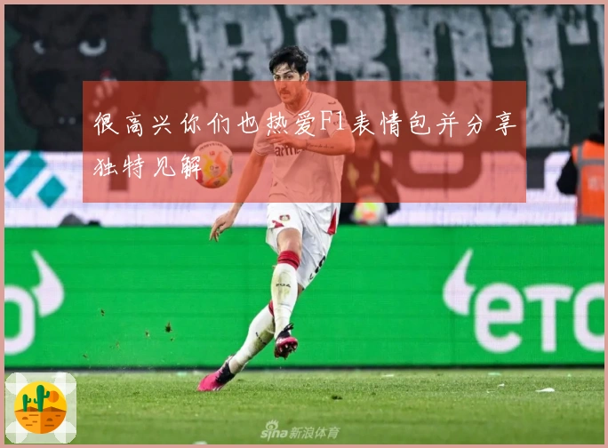 很高兴你们也热爱F1表情包并分享独特见解